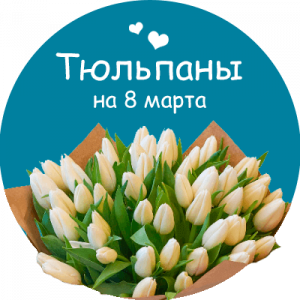 Купить тюльпаны в Новосиле